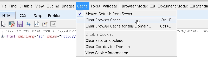 IE clear cache